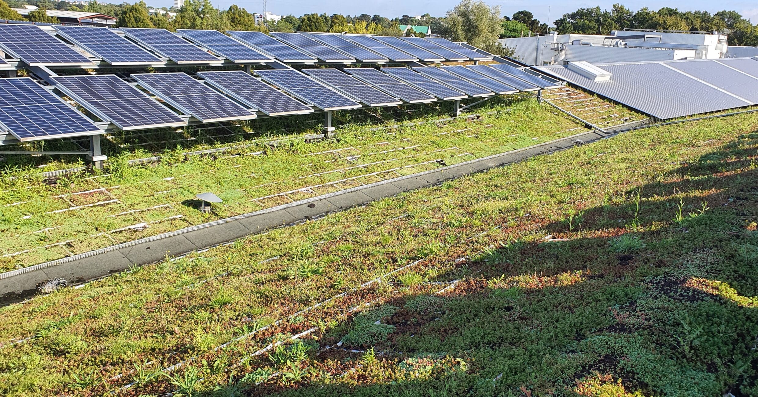 toiture-biosolaire-panneaux-photovoltaiques.jpg