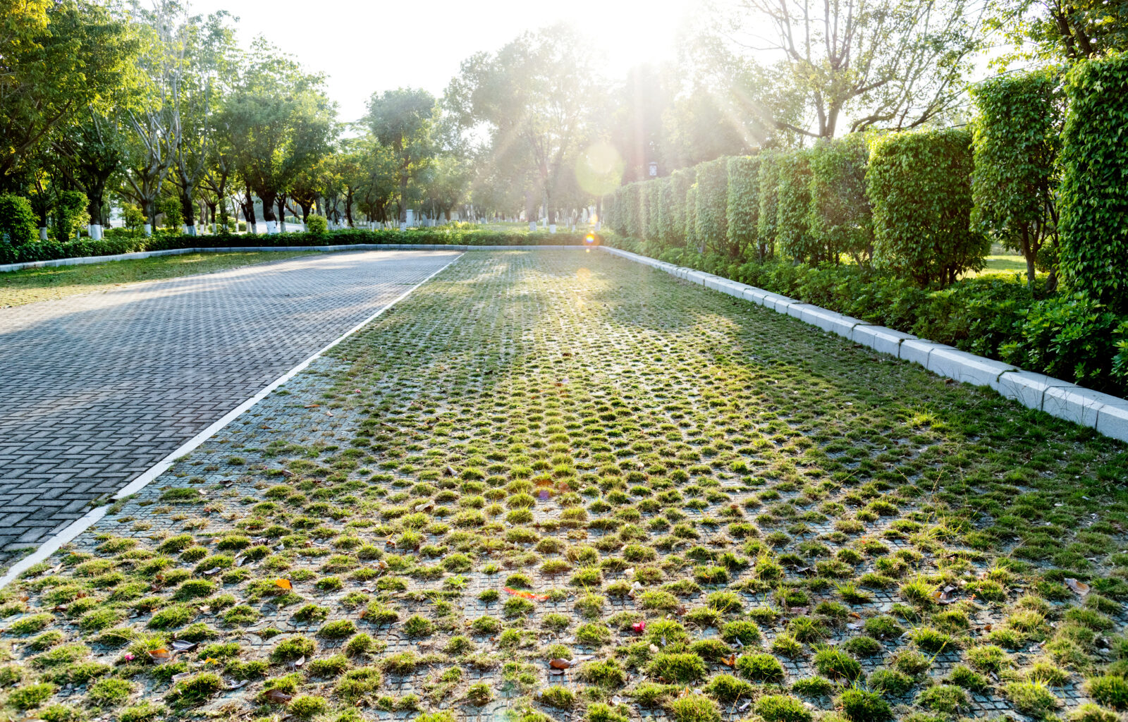 Empty parking lot in public park